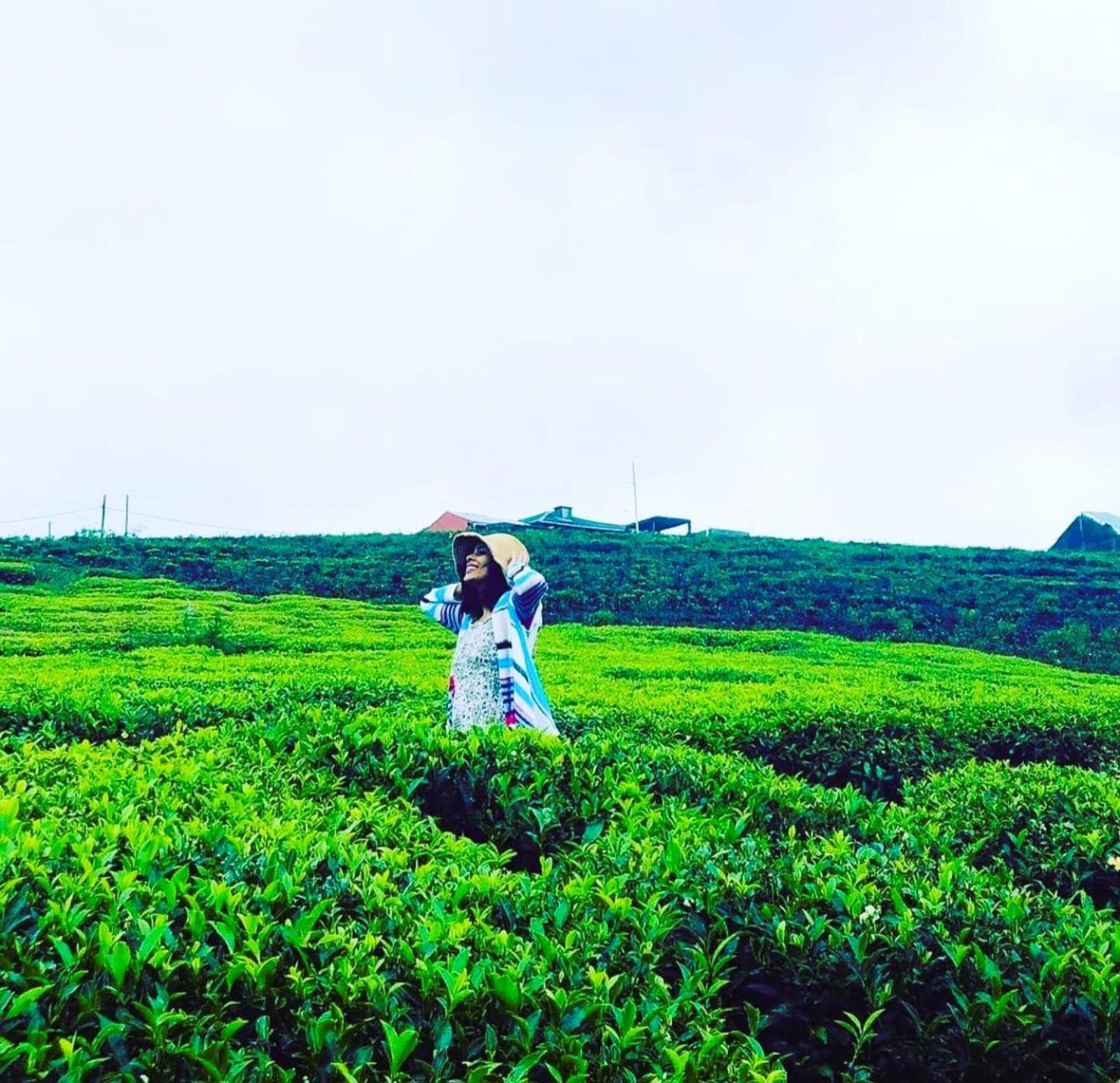 הוילה נוארה אליה The Tea Garden מראה חיצוני תמונה