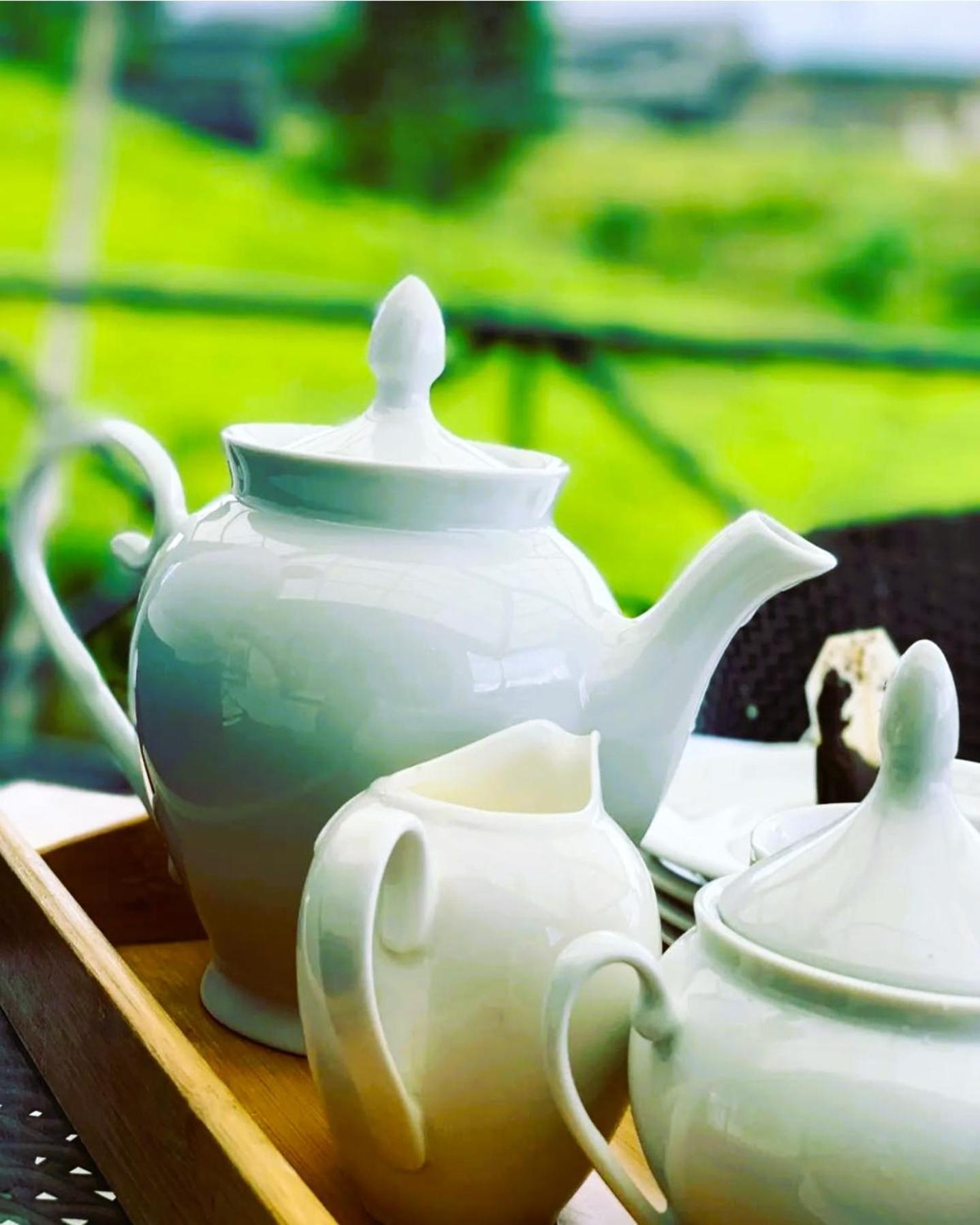 הוילה נוארה אליה The Tea Garden מראה חיצוני תמונה